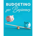 Budgeting for Beginners: Simple and Practical Techniques for Effective Money Management - Paperback