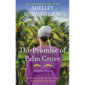 The Promise of Palm Grove: Amish Brides of Pinecraft, Book One - Paperback