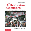 The Authoritarian Commons - Hardcover