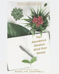 The Abundance Mindset: Mind Over Money - Paperback