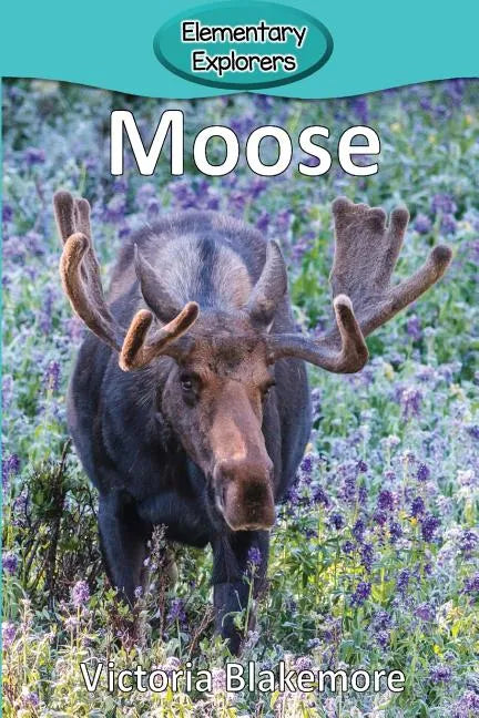 Moose - Paperback