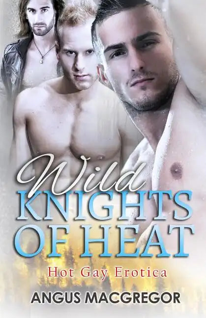 Wild Knights of Heat: Hot Gay Erotica - Paperback