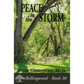 Peace in the Storm - Paperback
