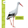 Storks - Library Binding