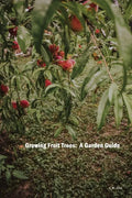 Growing Fruit Trees: A Garden Guide - Paperback