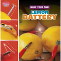 Make Your Own Lemon Battery - Hardcover