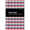Plum Bun: A Novel Without a Moral - Paperback