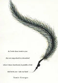 As I Write These Words - Hardcover