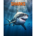 Sharks: Fun Facts Book for Kids with Amazing Photos - Paperback