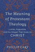 Meaning of Protestant Theology - Paperback