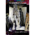 The Perfect Stranger - Paperback