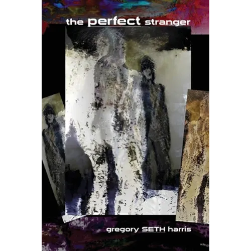 The Perfect Stranger - Paperback