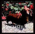 The Dachshund: A Dog for Town and Country - Hardcover