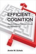 Efficient Cognition: The Evolution of Representational Decision Making - Paperback