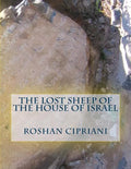 The Lost Sheep Of The House Of Israel - Paperback