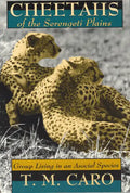 Cheetahs of the Serengeti Plains: Group Living in an Asocial Species - Paperback