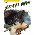 Bizarre Birds - Library Binding