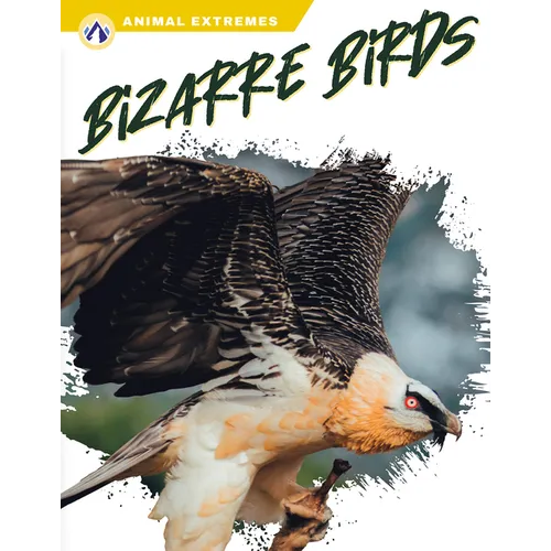 Bizarre Birds - Library Binding