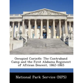 Occupied Corinth: The Contraband Camp and the First Alabama Regiment of African Descent, 1862-1865 - Paperback