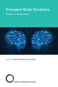Emergent Brain Dynamics: Prebirth to Adolescence - Paperback