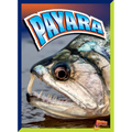 Payara - Hardcover