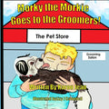 Morky the Morkie Goes to the Groomers! - Paperback