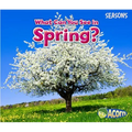 What Can You See in Spring? - Paperback