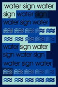 Water Sign: Short Stories and Novellas - Paperback