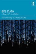 Big Data: A Beginner's Introduction - Paperback