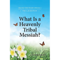 What Is A Heavenly Tribal Messiah: Heavenly Tribal Messiah Collection 1 - Paperback