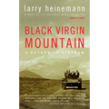 Black Virgin Mountain: A Return to Vietnam - Paperback
