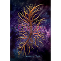 The Celestra - Paperback