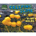 Creeping Slime: Slime Molds - Library Binding