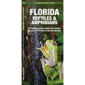 Florida Reptiles & Amphibians: A Folding Pocket Guide to Familiar Species of Florida & the Everglades - Paperback