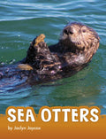 Sea Otters - Hardcover
