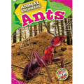 Ants - Library Binding