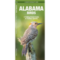 Alabama Birds: An Introduction to Familiar Species - Paperback