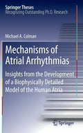 Mechanisms of Atrial Arrhythmias: Insights from the Development of a Biophysically Detailed Model of the Human Atria - Hardcover