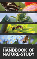 The Handbook Of Nature Study in Color - Insects - Hardcover