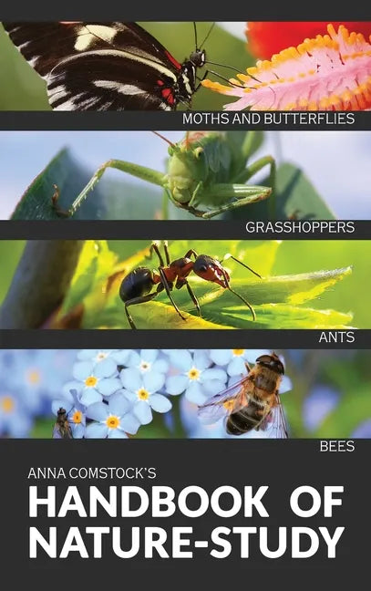 The Handbook Of Nature Study in Color - Insects - Hardcover