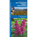 New Hampshire Trees & Wildflowers: A Folding Pocket Guide to Familiar Plants - Hardcover