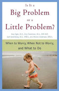 Is It a Big Problem or a Little Problem? - Paperback