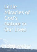 Little Miracles of God's Nature in Our Lives - Paperback