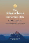 The Marvelous Primordial State - Paperback