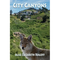 City Canyons - Paperback