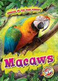 Macaws - Library Binding