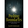 Pushing Boundaries: How Risk Takers Shape Our World (and You Can Too!) - Paperback