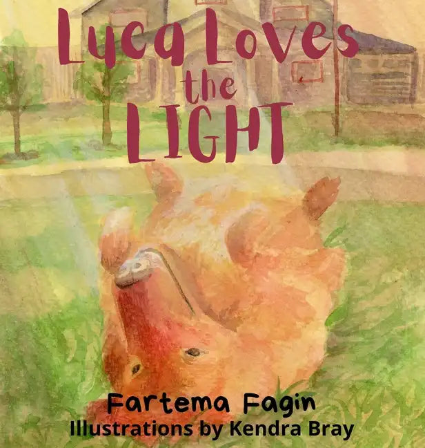 Luca Loves The Light - Hardcover