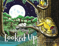 The Little Possum who Looked Up - Paperback