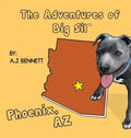 The Adventures of Big Sil Phoenix: Children's Book - Hardcover